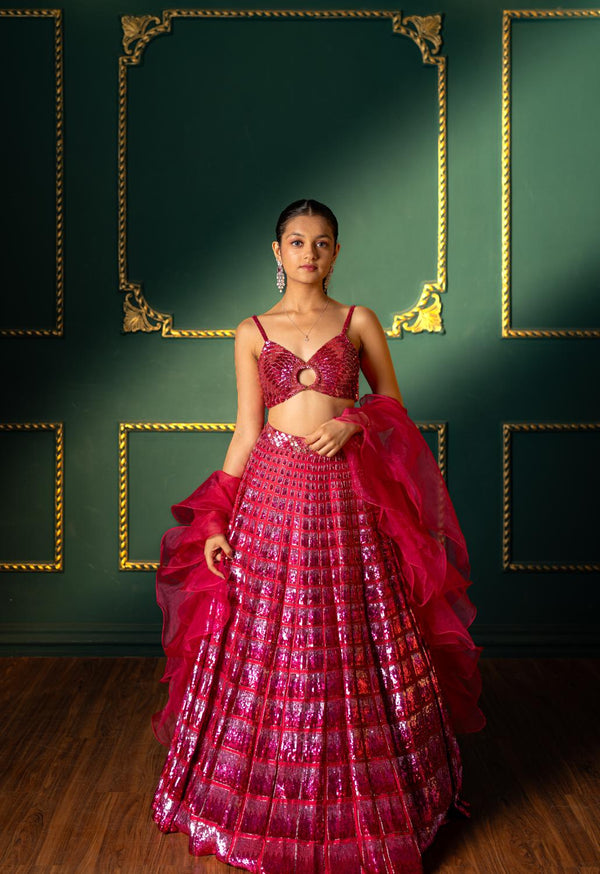 Hot Pink Hand Embroidered Sequins Lehenga Set